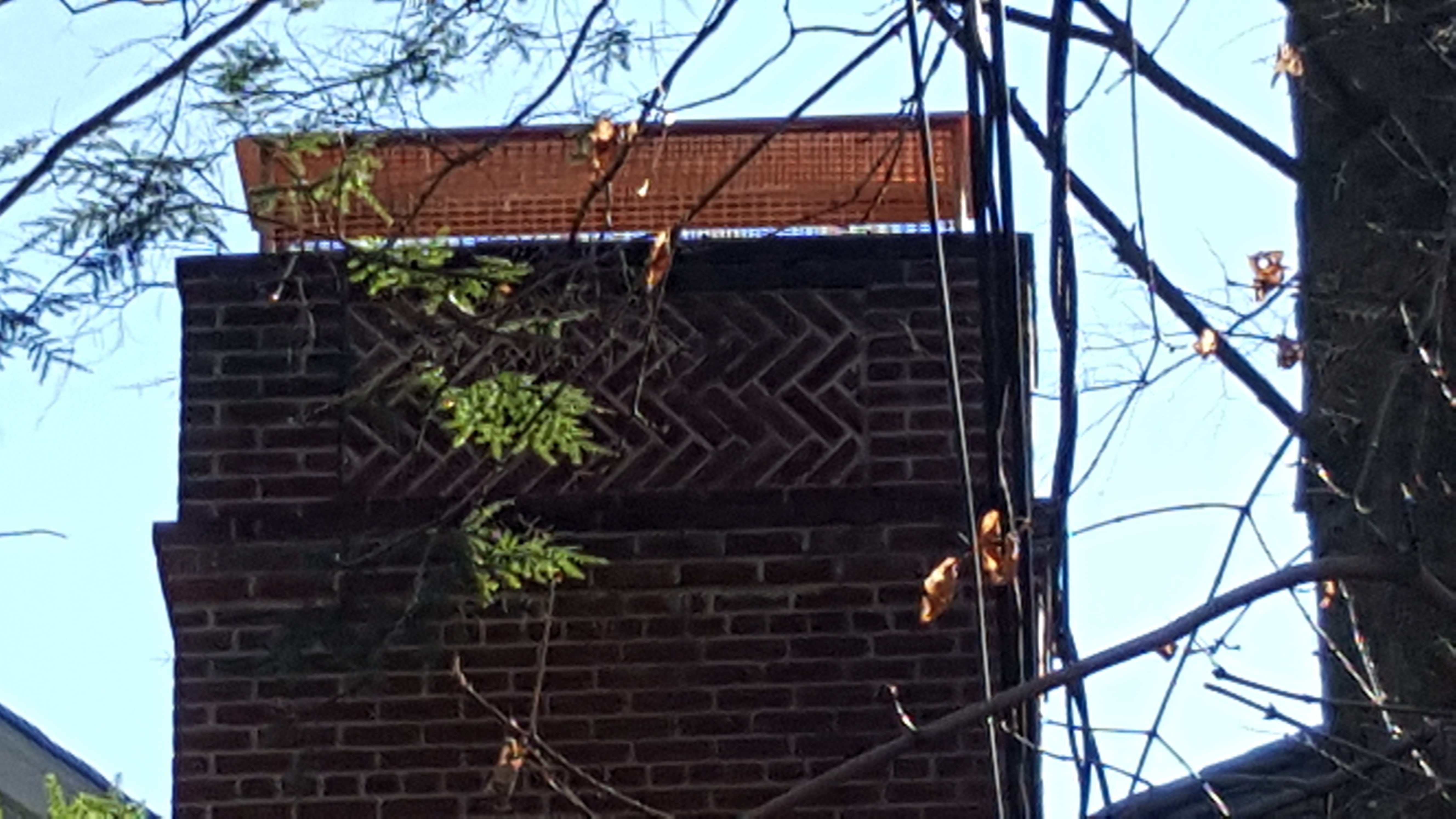 Animal-proof chimney cap protecting home in West Babylon, New York